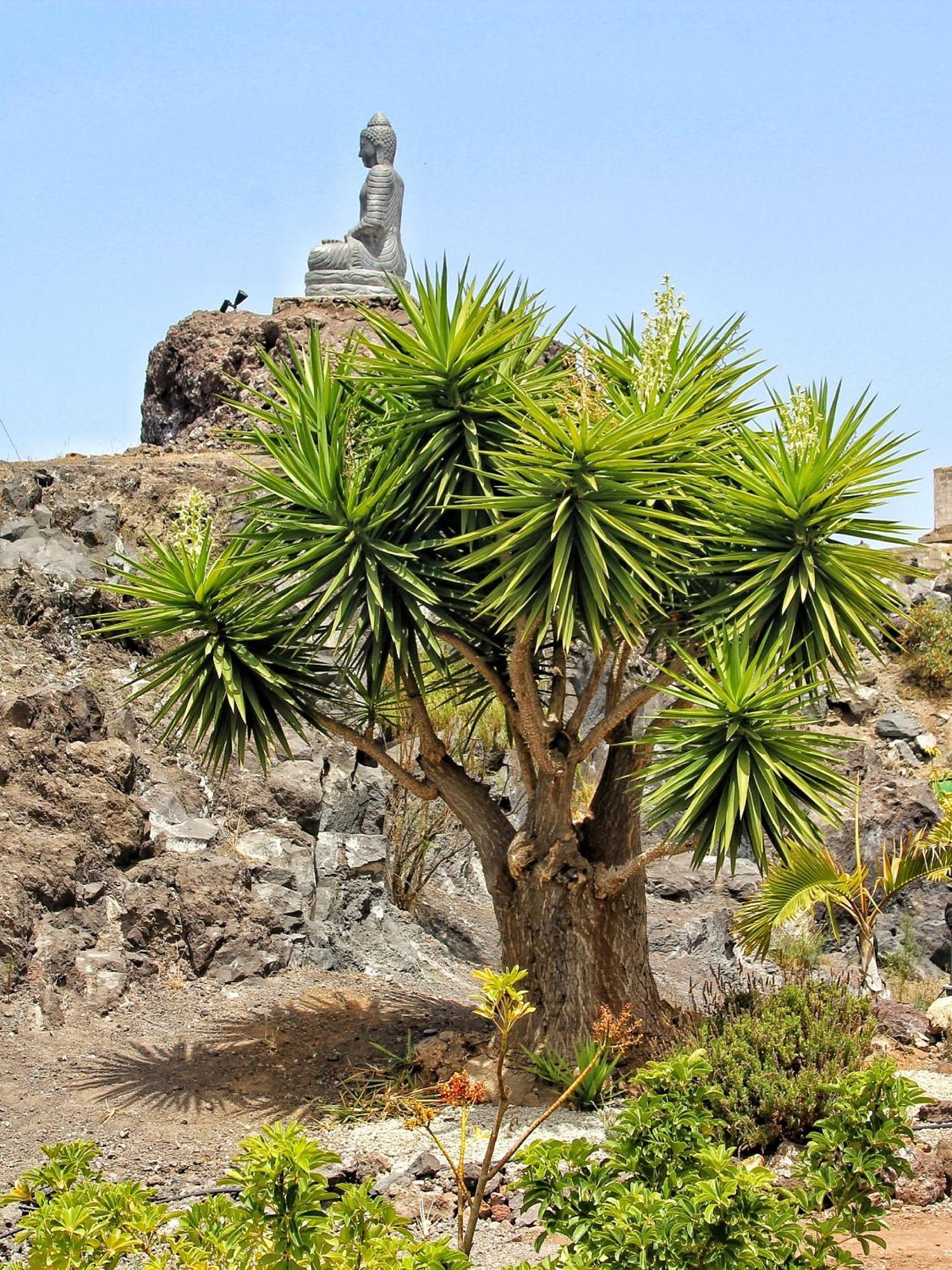 Finca Berolo 4 เกีย เด อิโซรา ภายนอก รูปภาพ